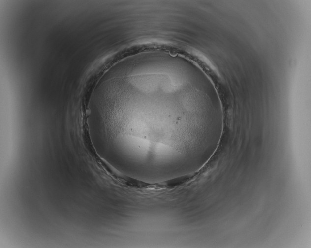 X0000114101111200910131316