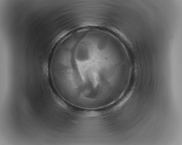 X0000114101113200910131316