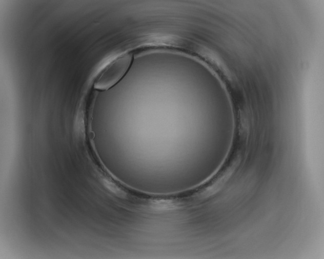 X0000114101114200910131316