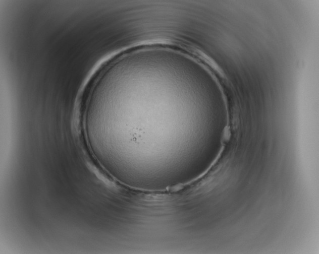 X0000114101116200910131317