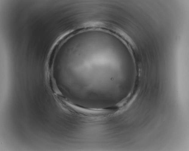 X0000114101117200910131317