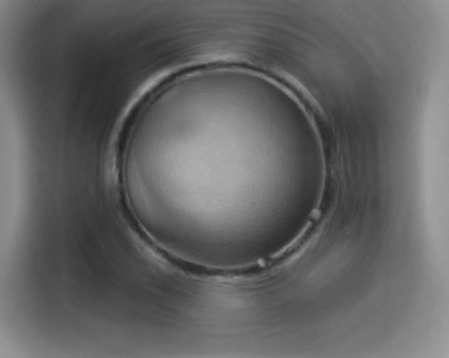 X0000114101118200910131317