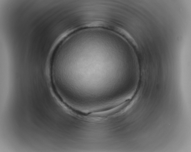 X0000114101122200910131317