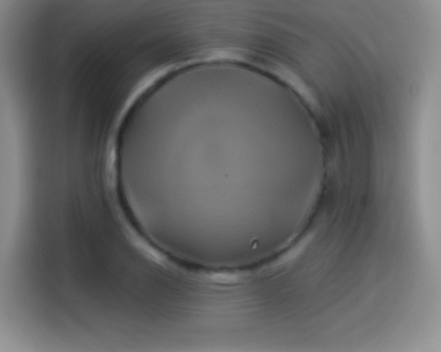 X0000114101126200910131317