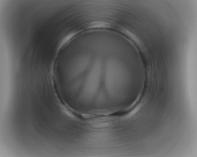 X0000114101129200910131317