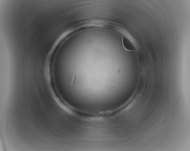 X0000114101131200910131317