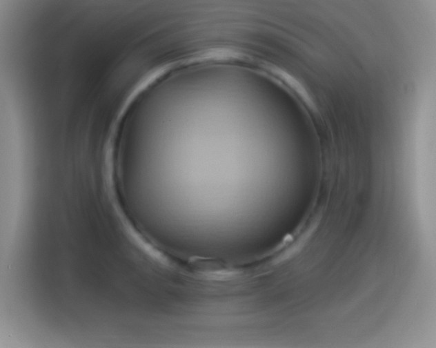 X0000114101134200910131317