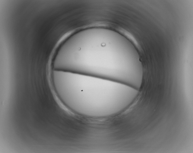 X0000114101135200910131317