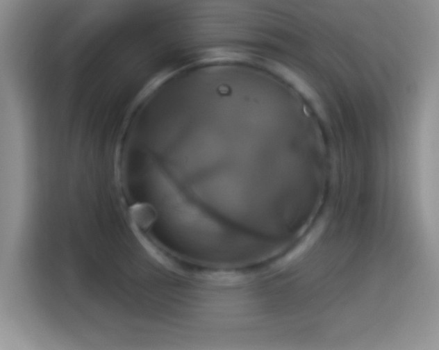 X0000114101137200910131317