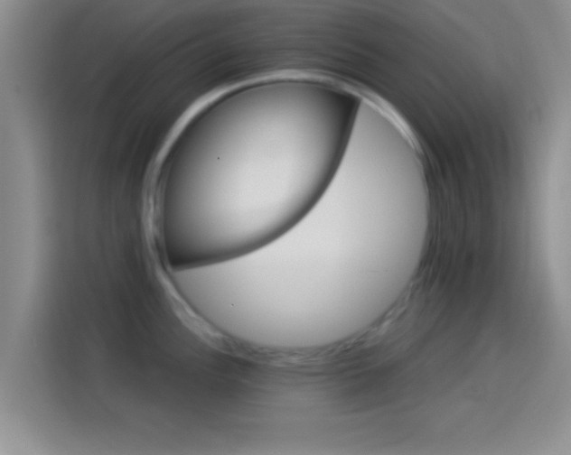 X0000114101148200910131317