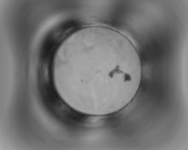 X0000114101150200910131317