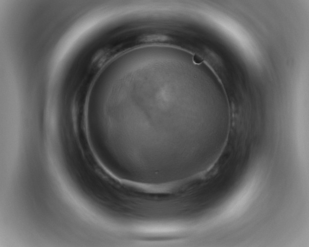 X0000114101151200910131317