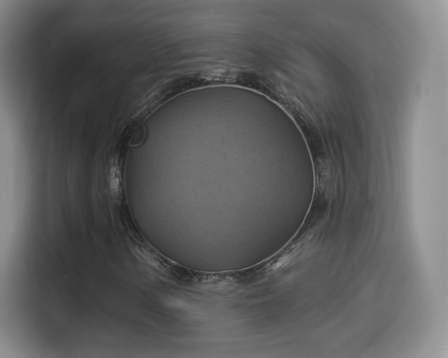 X0000114101154200910131316