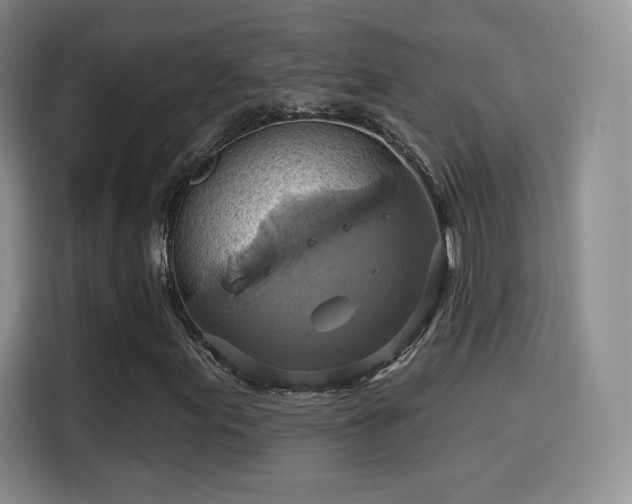 X0000114101155200910131316