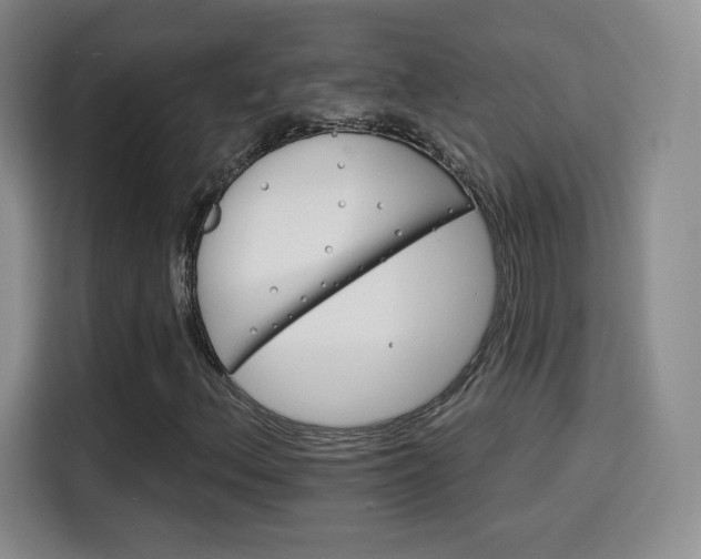 X0000114101156200910131316