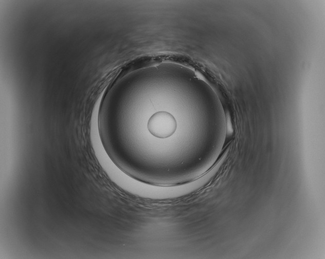 X0000114101157200910131316