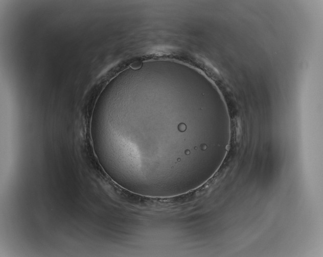 X0000114101158200910131316