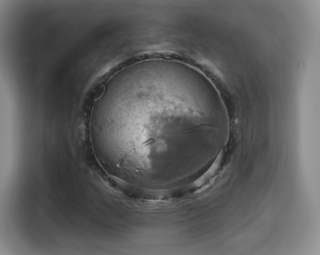 X0000114101159200910131316