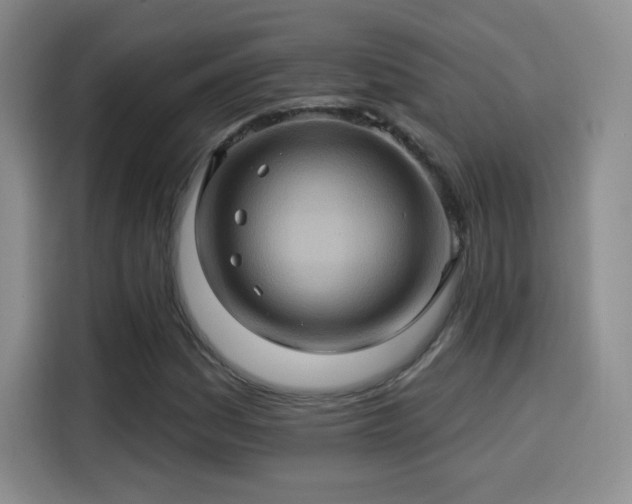 X0000114101161200910131316