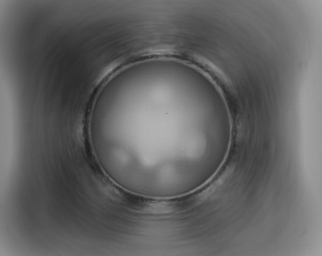 X0000114101162200910131316