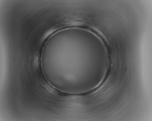 X0000114101163200910131316