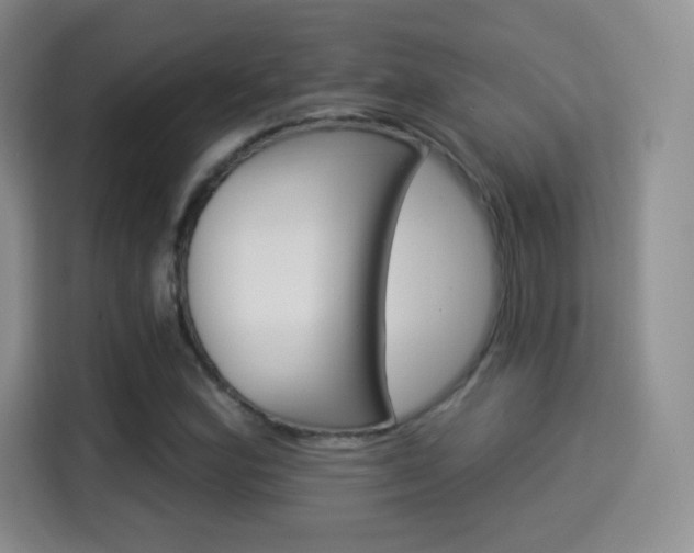 X0000114101164200910131316