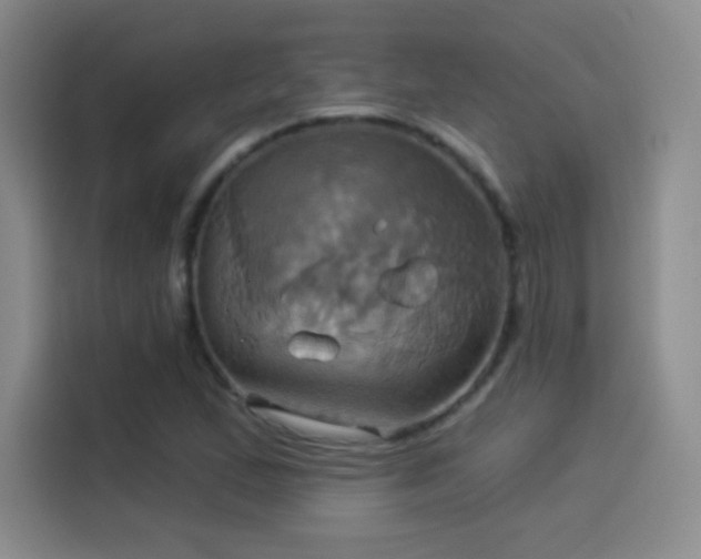 X0000114101167200910131316