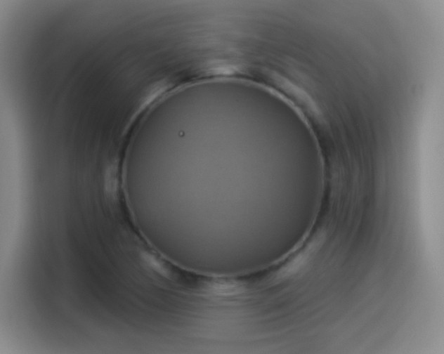 X0000114101170200910131316