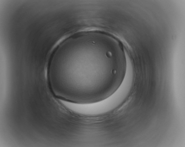 X0000114101173200910131316