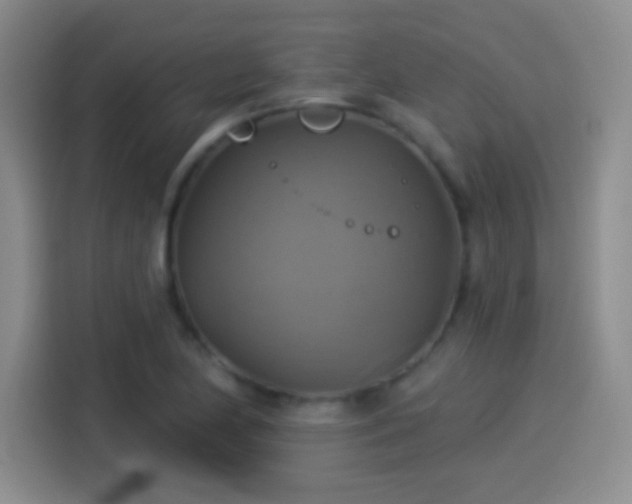 X0000114101174200910131316