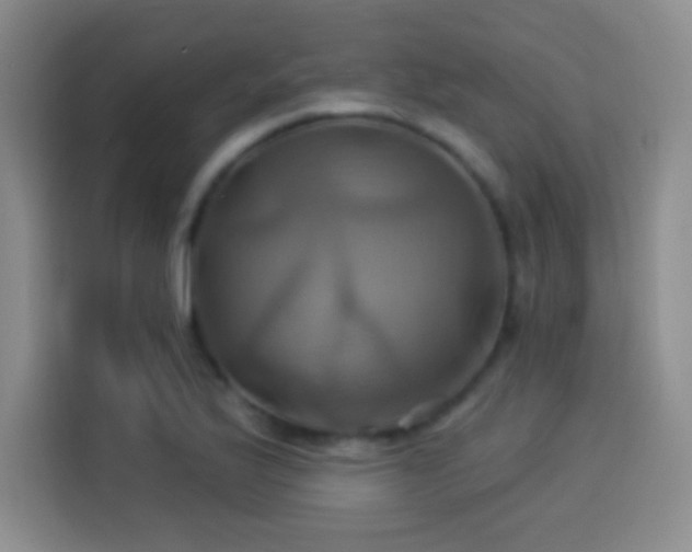 X0000114101175200910131316