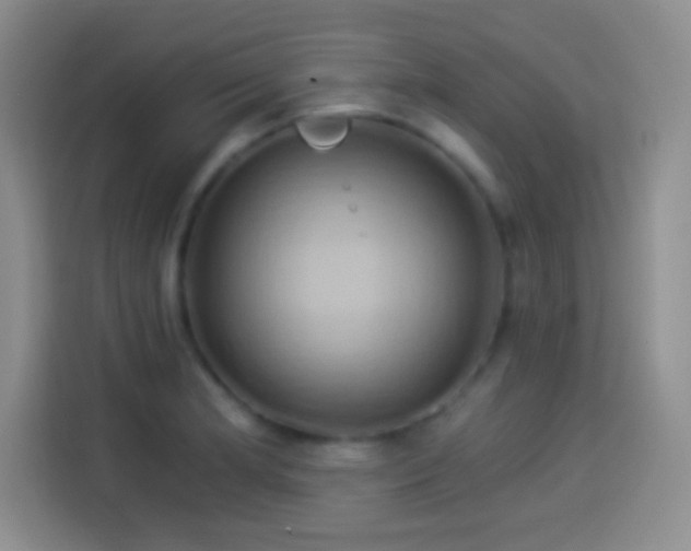 X0000114101181200910131316