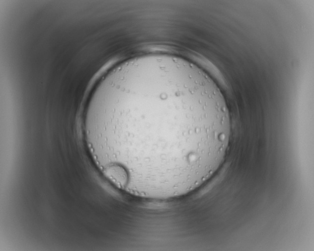 X0000114101182200910131316