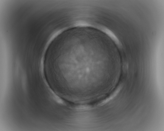 X0000114101183200910131316