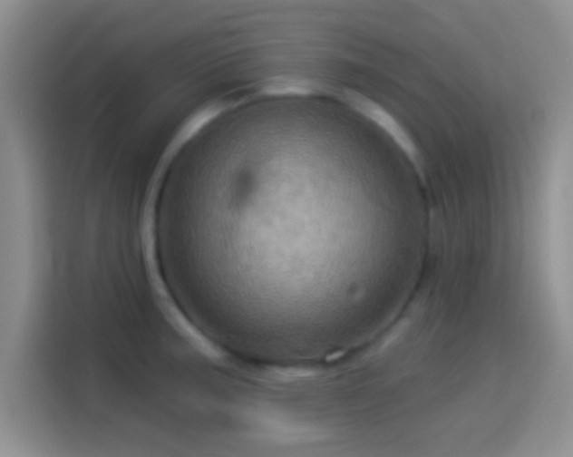 X0000114101187200910131316