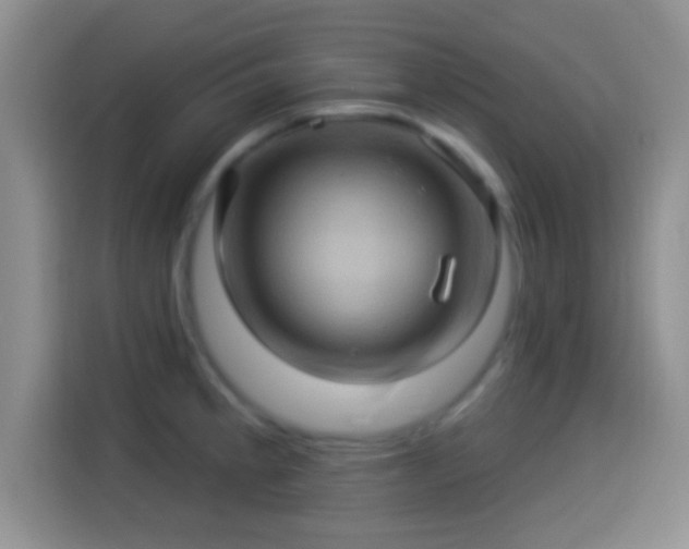 X0000114101189200910131316