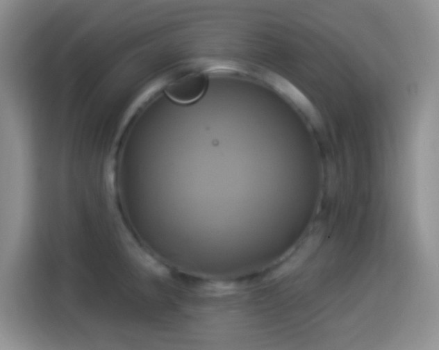 X0000114101190200910131316