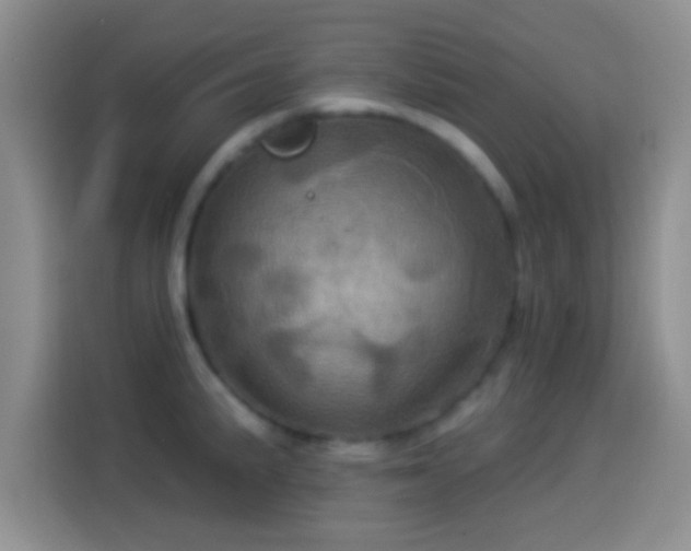 X0000114101191200910131316