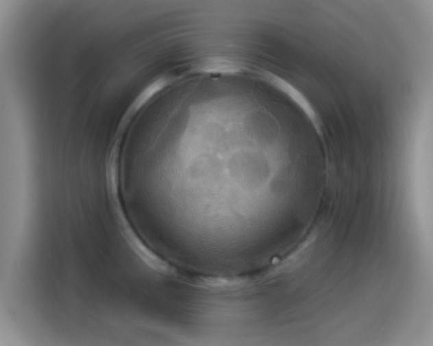 X0000114101195200910131316