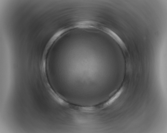 X0000114101196200910131316