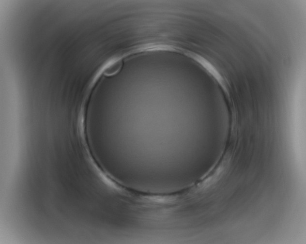 X0000114101197200910131316