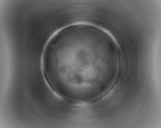 X0000114101199200910131316