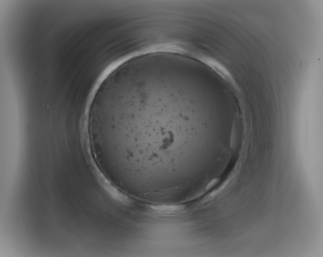 X0000114101200200910131316