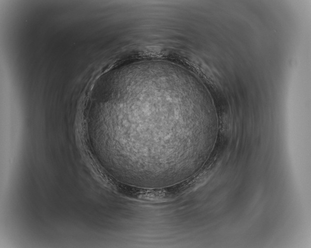 X0000114101201200910131315