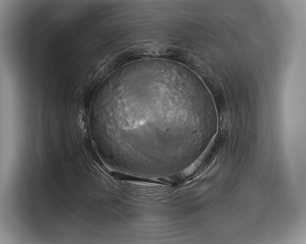 X0000114101202200910131315