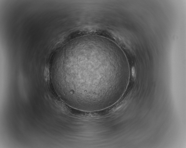 X0000114101203200910131315