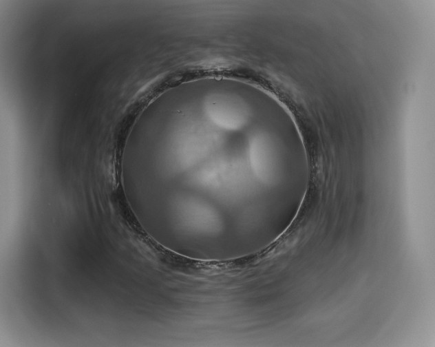 X0000114101205200910131315