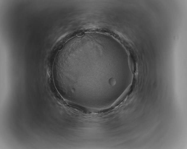 X0000114101206200910131315