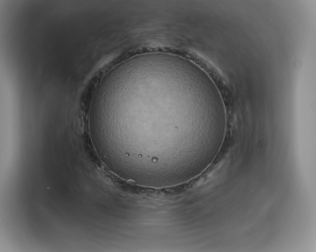 X0000114101207200910131315