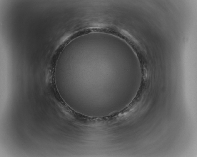 X0000114101208200910131315